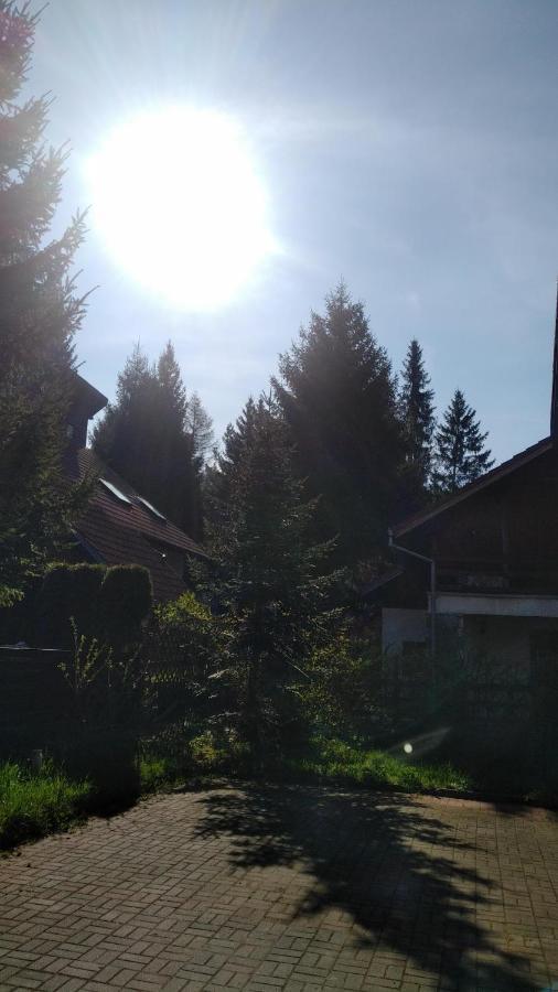 Poiana Dintre Brazi Chalet, Bucegi Panorama シナヤ エクステリア 写真