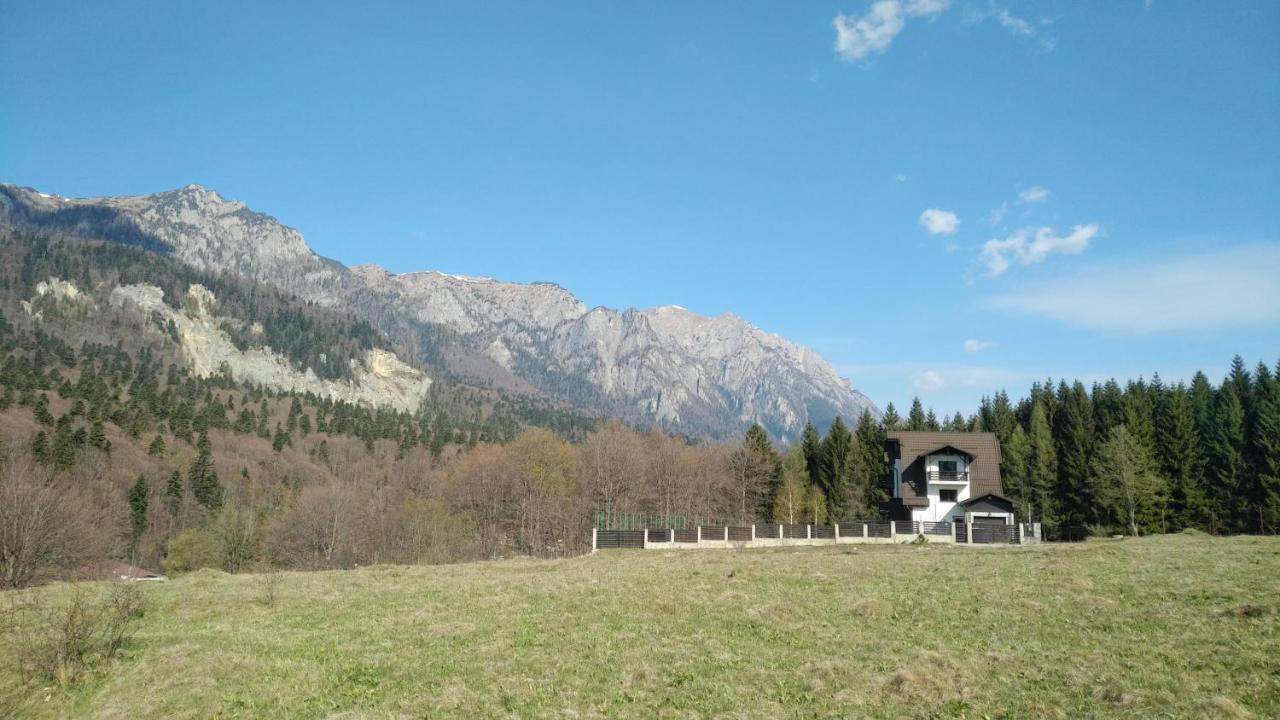 Poiana Dintre Brazi Chalet, Bucegi Panorama シナヤ エクステリア 写真