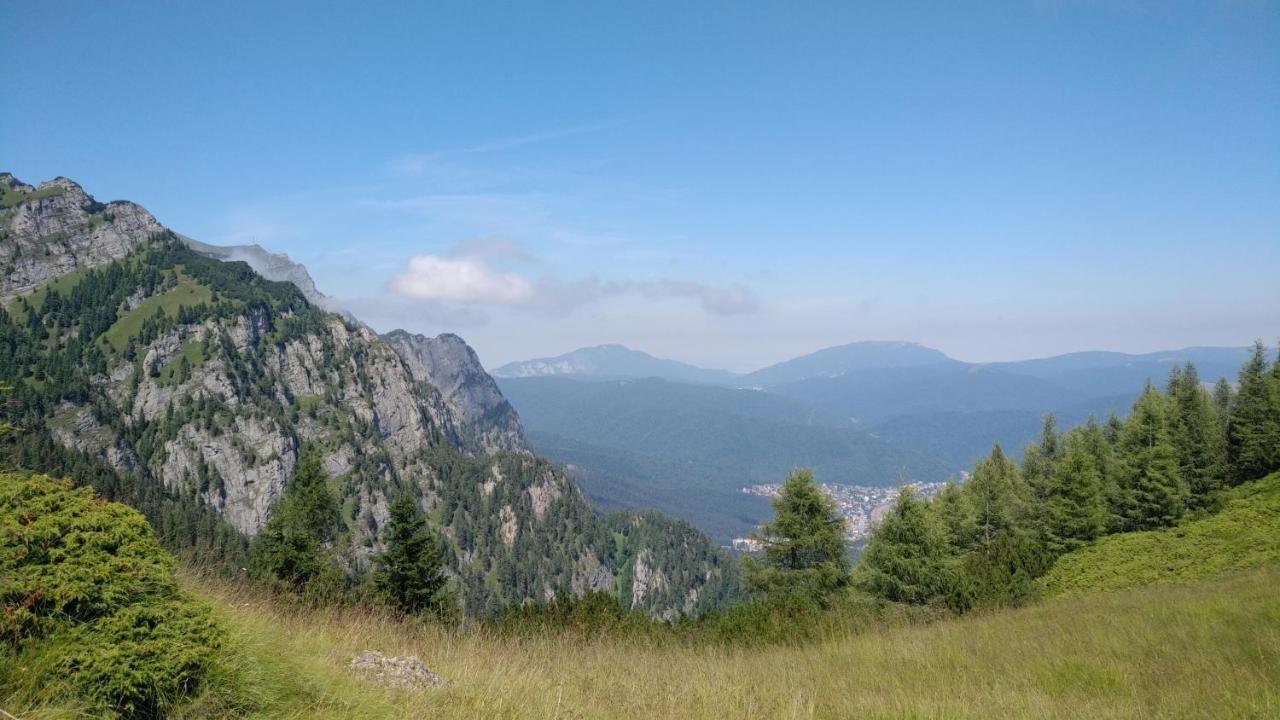 Poiana Dintre Brazi Chalet, Bucegi Panorama シナヤ エクステリア 写真