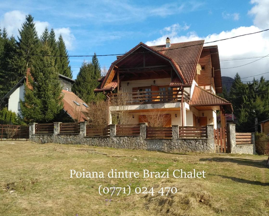 Poiana Dintre Brazi Chalet, Bucegi Panorama シナヤ エクステリア 写真